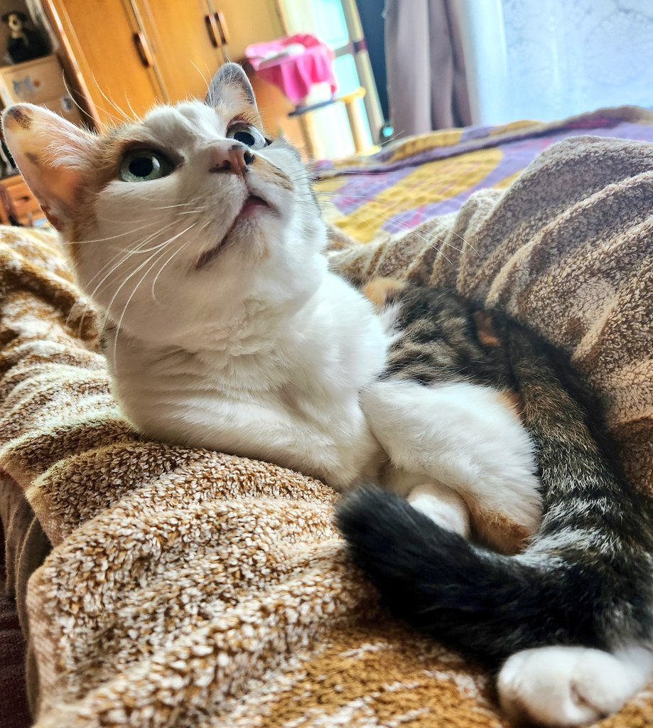 葉*•.❥ tweet media