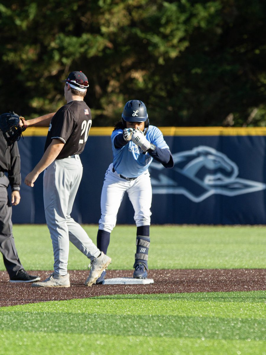 Longwood Baseball tweet media