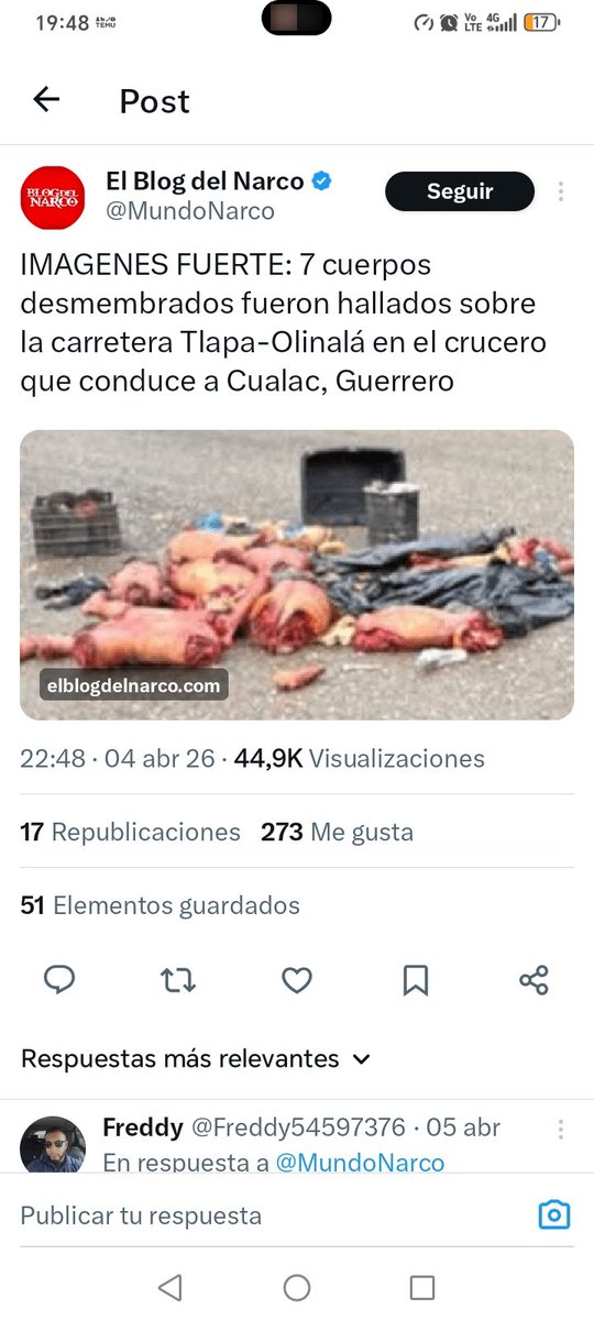 alex chamaya tweet media