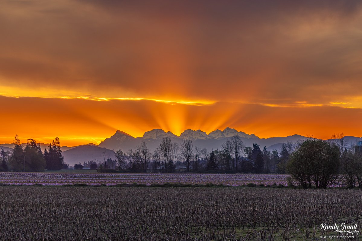 RandySmall's tweet image. About that sunrise this morning!!!!! I have seen this a few times over the years, but these rays behind the BC mountains were AMAZING!!

#sunrise #whatcomcounty #pnw #canada #britishcolumbia #mountains
