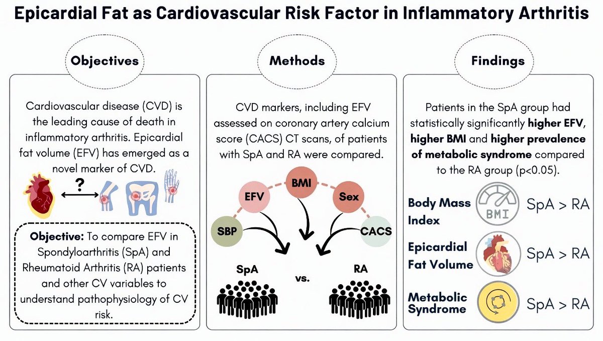 alb_giraldo's tweet image. A recent study demonstrates that epicardial fat volume (EFV) appears to be a promising, non-invasive marker that captures part of the excess #cardiovascular burden in inflammatory #arthritis—particularly in #spondyloarthritis (SpA)—beyond traditional risk scores and clinical