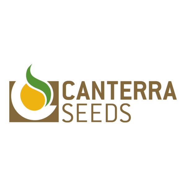 theSJHL's tweet image. 🌽 We are so proud of our relationship with CANTERRA SEEDS &amp;amp; appreciate their partnership!

Read about that partnership and hear from CANTERRA SEEDS seed business manager Patricia Huber here - sjhl.ca/canterra-seeds…

#SJHL #Community #CANTERRASEEDS