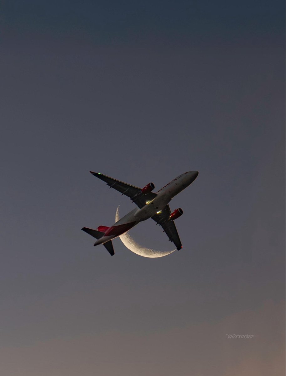 DieGonzalez tweet media