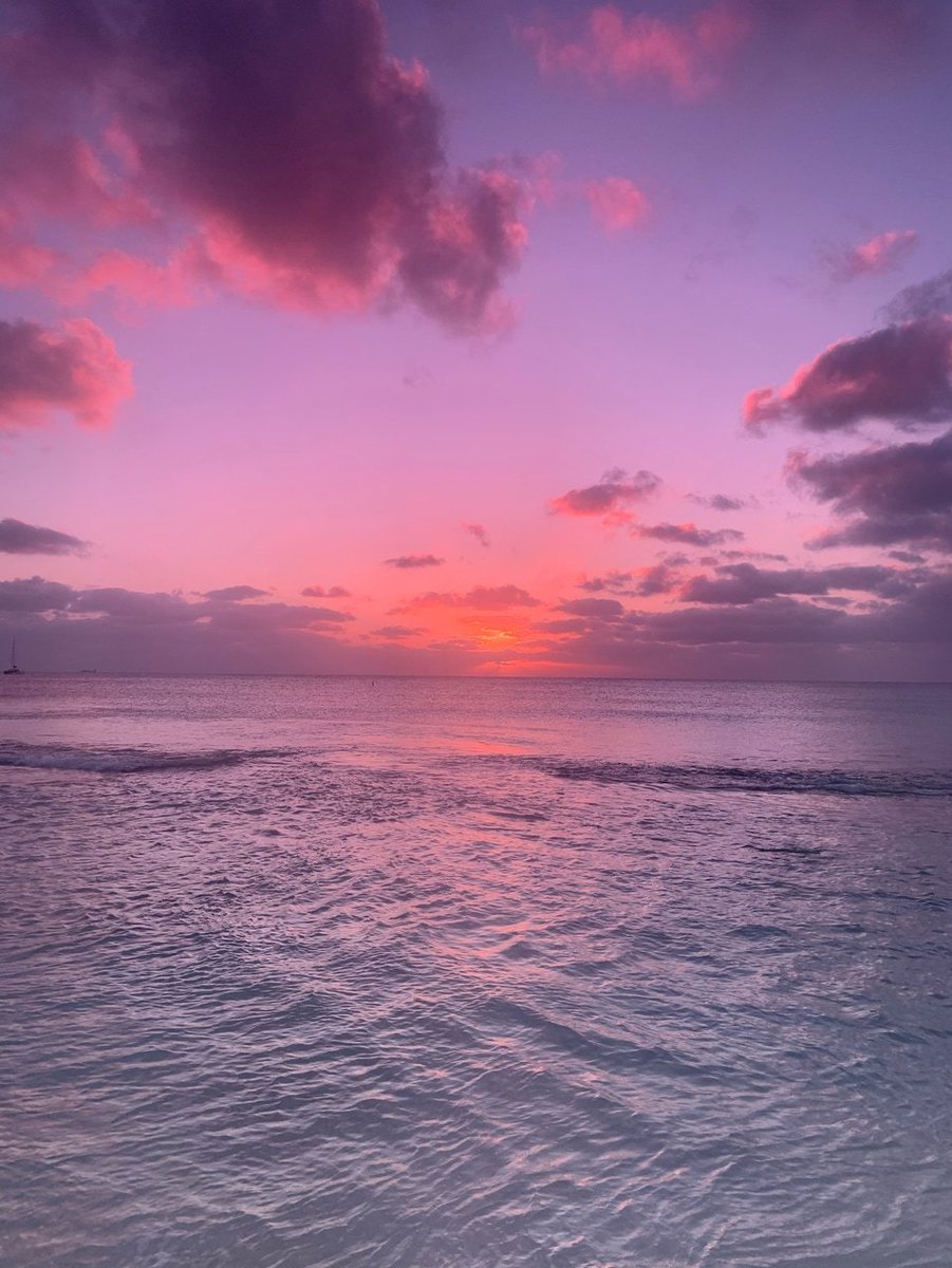 Aesthetics (@aestheticspost_) on Twitter photo 