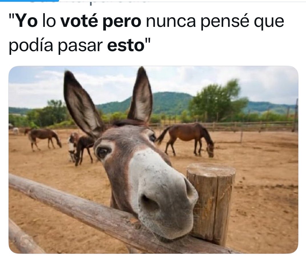 Patipelado y piñiñiento tweet media