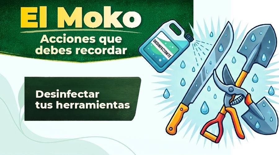 AgrocalidadEC's tweet photo. 🛡️#ProtegemosTusCultivos, pero también necesitamos tu ayuda.  🫱🏼‍🫲🏽

✅ Recuerda aplicar siempre las medidas de bioseguridad. 💪🏽 https://t.co/CvdcSXtF7H