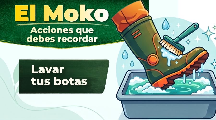 AgrocalidadEC's tweet photo. 🛡️#ProtegemosTusCultivos, pero también necesitamos tu ayuda.  🫱🏼‍🫲🏽

✅ Recuerda aplicar siempre las medidas de bioseguridad. 💪🏽 https://t.co/CvdcSXtF7H