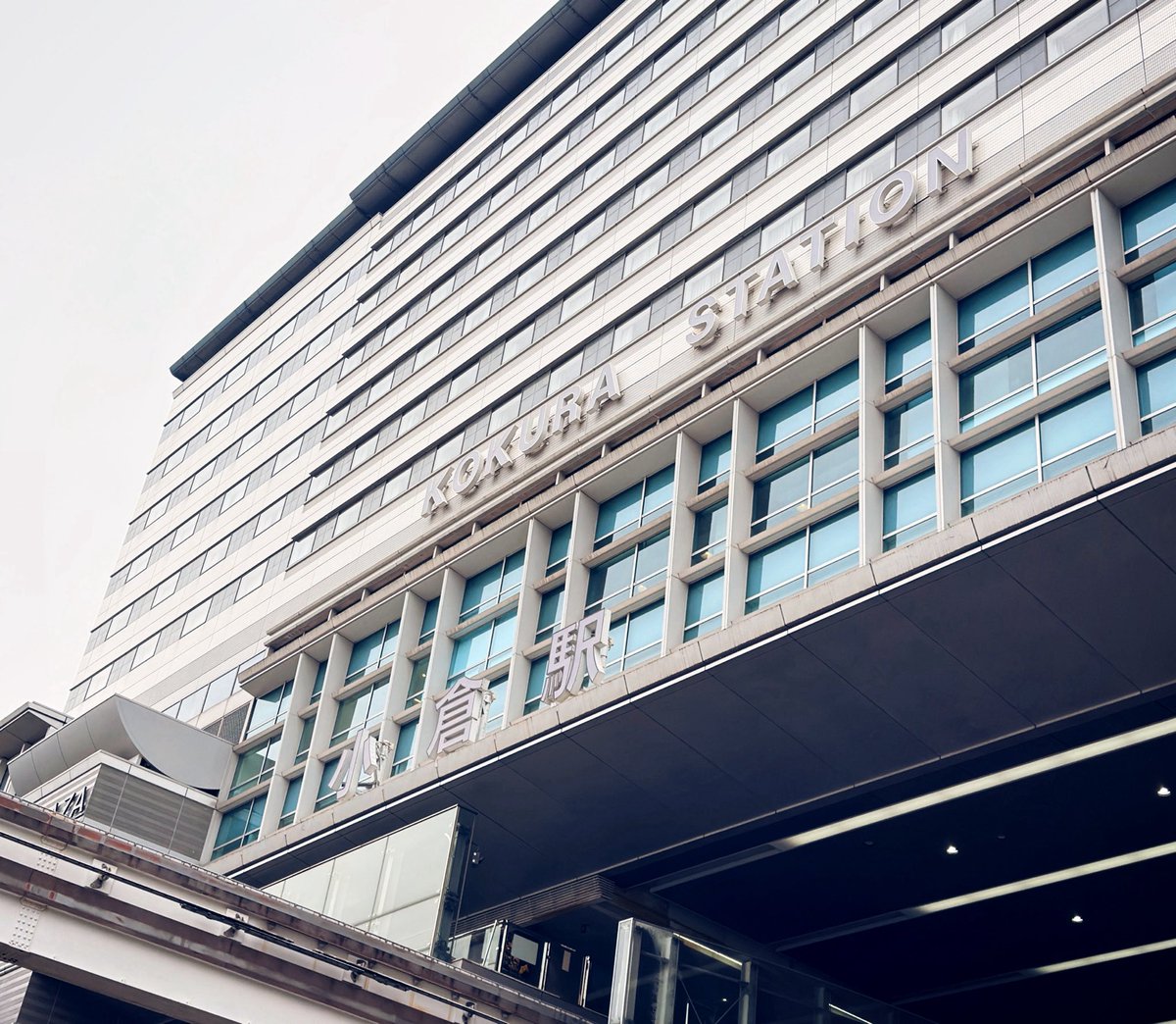 Lonehiro🧬ALPHAZ🐺 tweet media