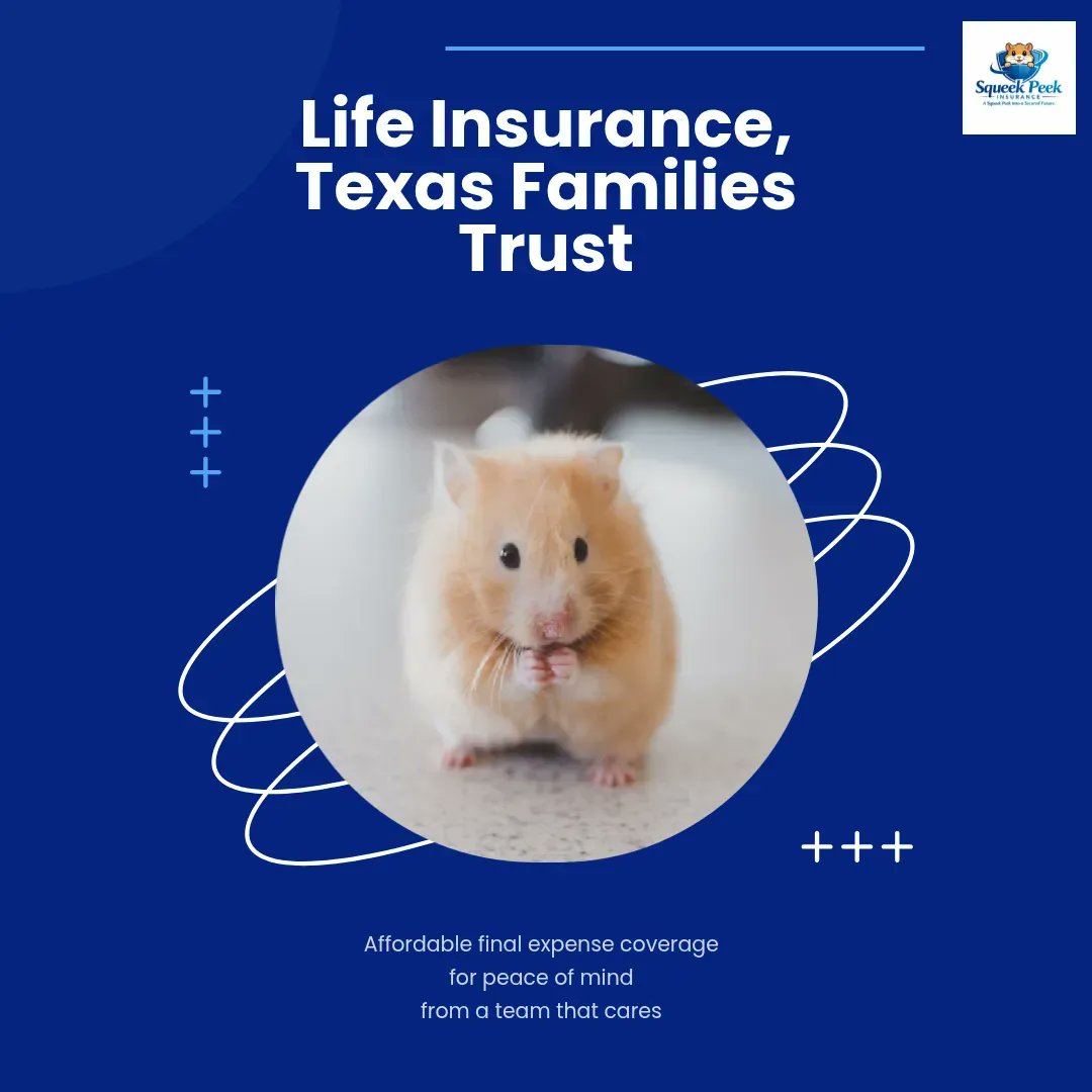 Squeek Peek Insurance tweet media