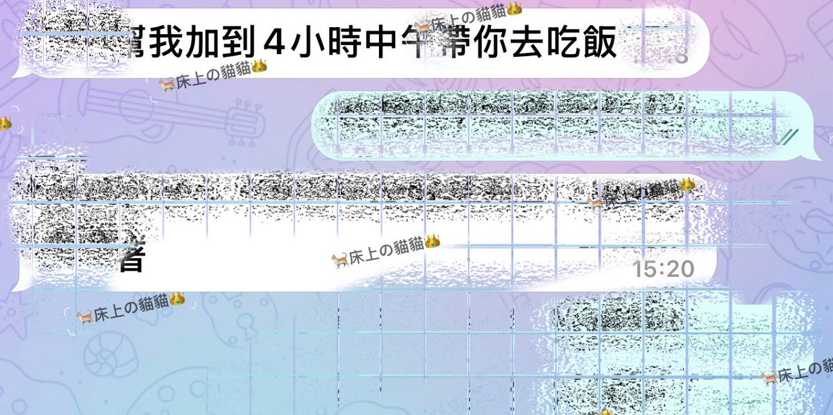 🐈床上の貓貓👑 tweet media