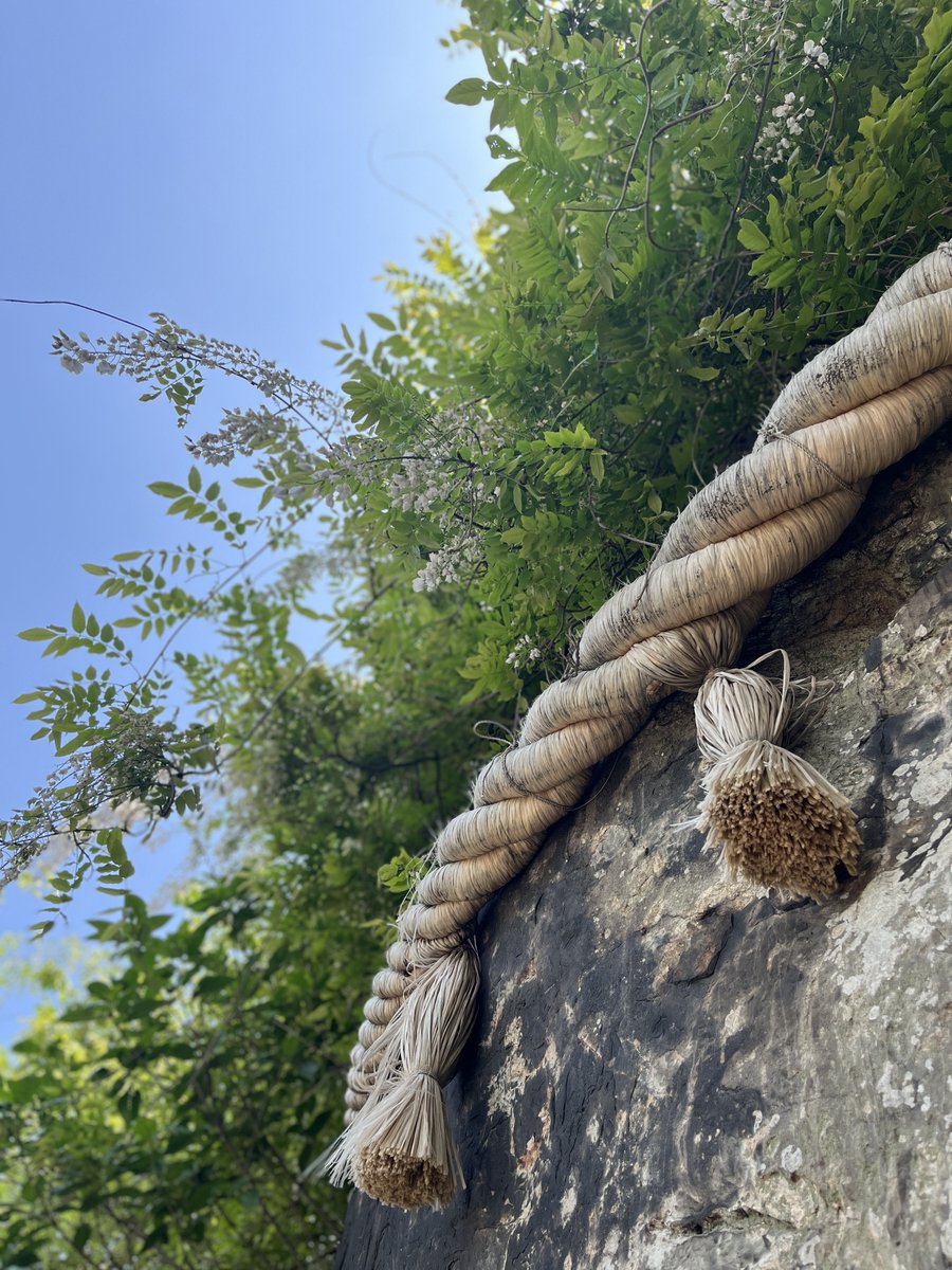 和布刈神社［めかり神社］ tweet media