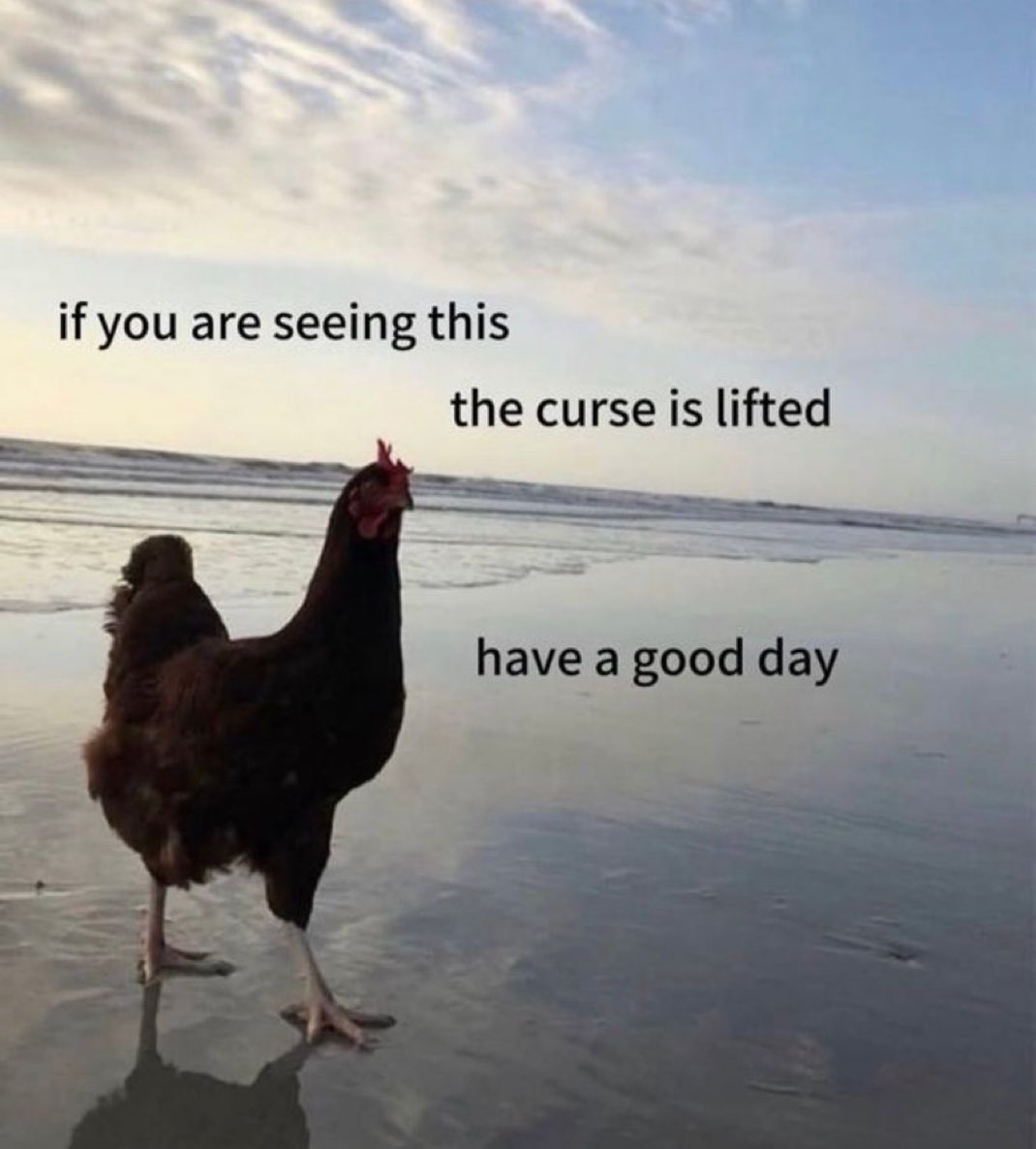 MemesToFeel tweet picture