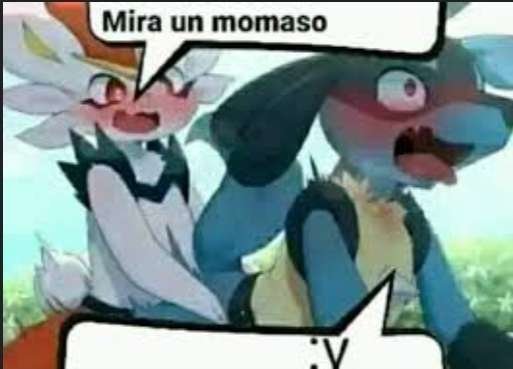 Nube 🏳️‍⚧️ tweet media