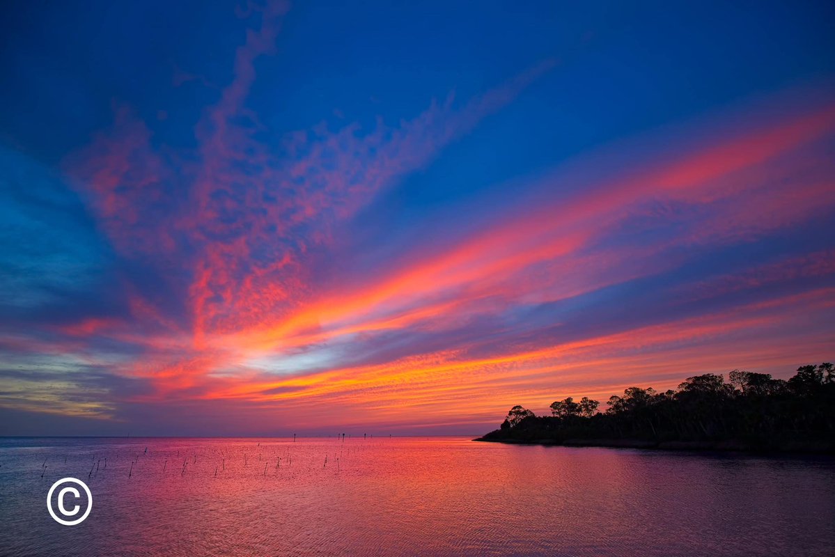 PaulFox13's tweet image. Bayport showing off.

📷 John Boscarino #Florida #sunset