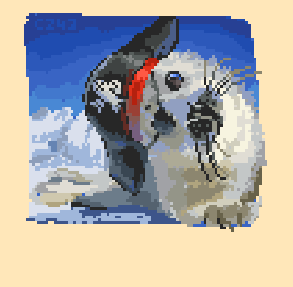 czfortythree's tweet image. yarrr
#seal #pixelart