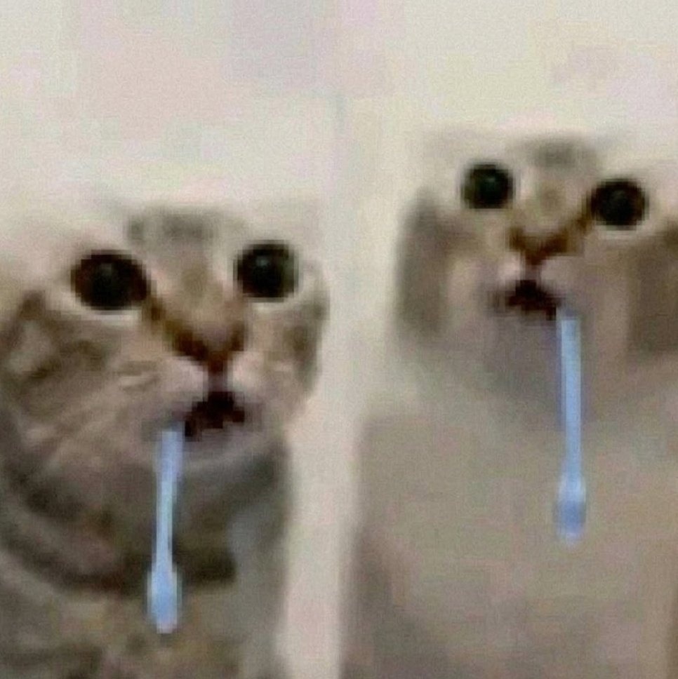 𝑧𝑚𝑏𝑖𝑒 tweet media