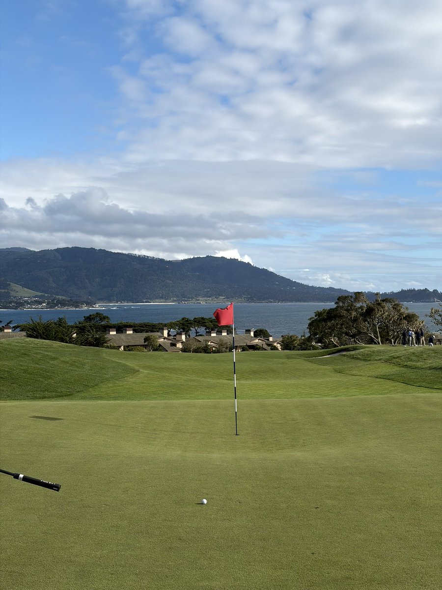 B. Draddy tweet media