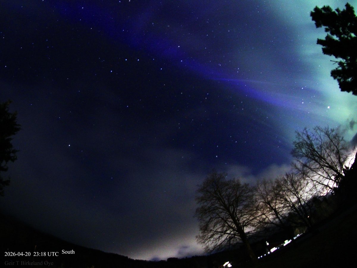 青いオーロラが出現!

通常のオーロラは酸素原子が発する緑や赤色が主だが、稀に観測される「青色」のオーロラは、高度200km付近の上層大気に存在する電離した窒素分子（N2+）が発する光（波長 427.8