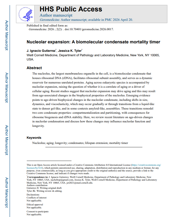geromedicine's tweet photo. 📢 An NIH-funded article published in Geromedicine is now indexed in PubMed and available in PubMed Central.

Nucleolar expansion: A biomolecular condensate mortality timer
🔗https://t.co/jNFVVFJslX
#Geromedicine #PubMed https://t.co/pjAX07ZTLK