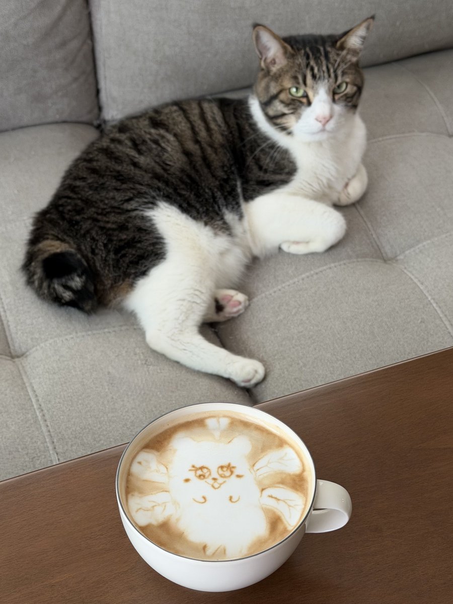 ポコーー🥺

#あわいで修行中
#妄想くすまもカフェ🦌⸝⋆