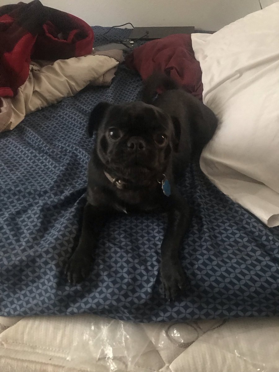 DanielRedthorn's tweet image. Even when the day feels like it’s dragging on, and you keep getting bad luck everywhere you turn, keep your head held high. Things will get and be better as long as you keep going forward. Your not alone #motivation #friends #trending #gaming #together