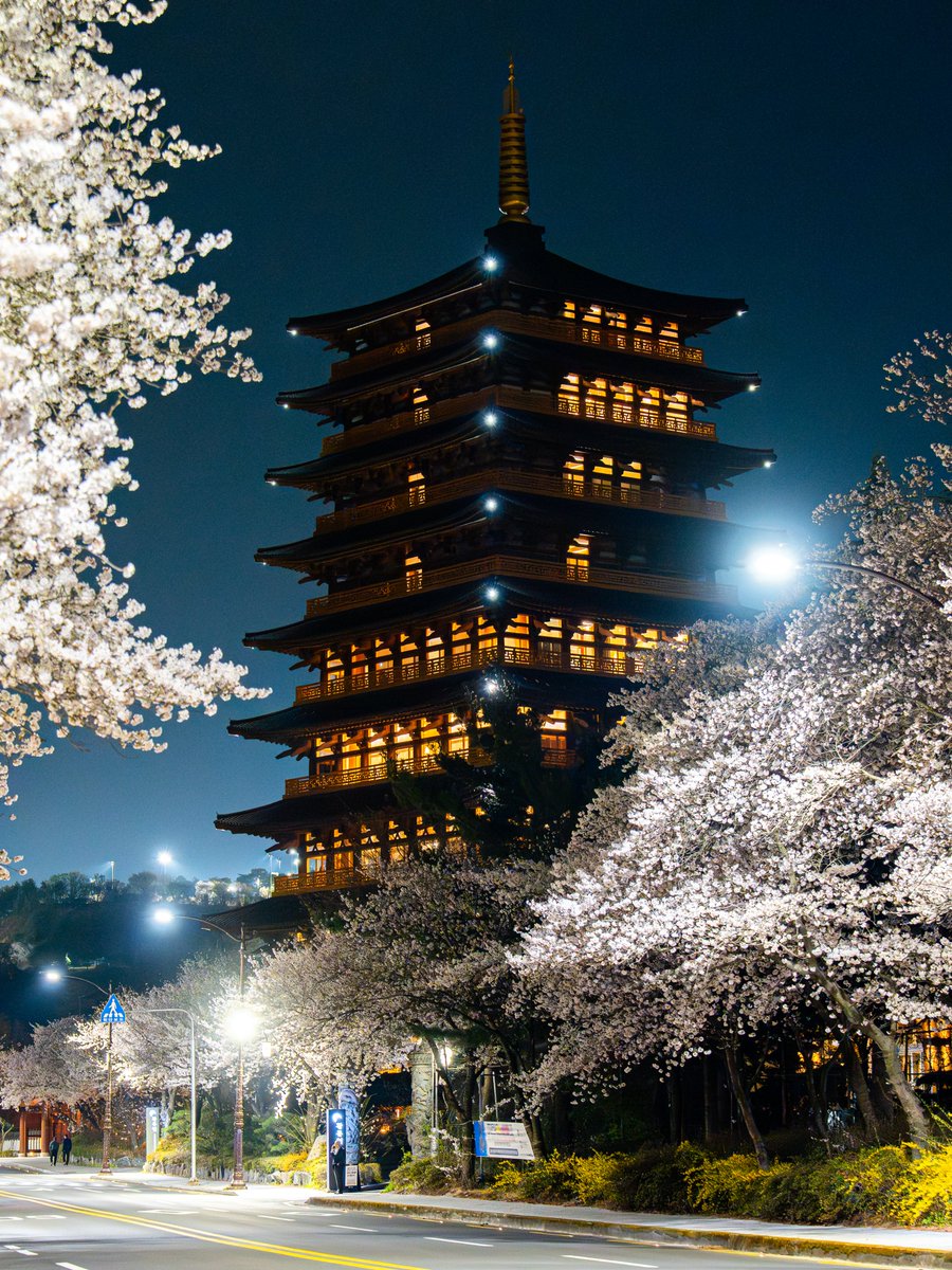 Visita Corea tweet media