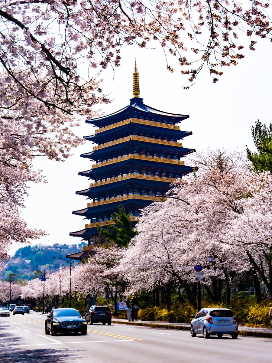 Visita Corea tweet media