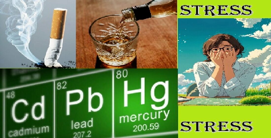 JoxMdpi's tweet photo. Joint Effects of Lifestyle Habits and Heavy Metals Exposure on Chronic Stress Among U.S. Adults: Insights from NHANES 2017–2018

by Ms. Esther Ogundipe &amp; Professor Emmanuel Obeng-Gyasi
🔗 https://t.co/MsBYK5rIZy

#AllostaticLoad #EnvironmentalHealth #HeavyMetals #StressResearch https://t.co/jpWGqWeXqy