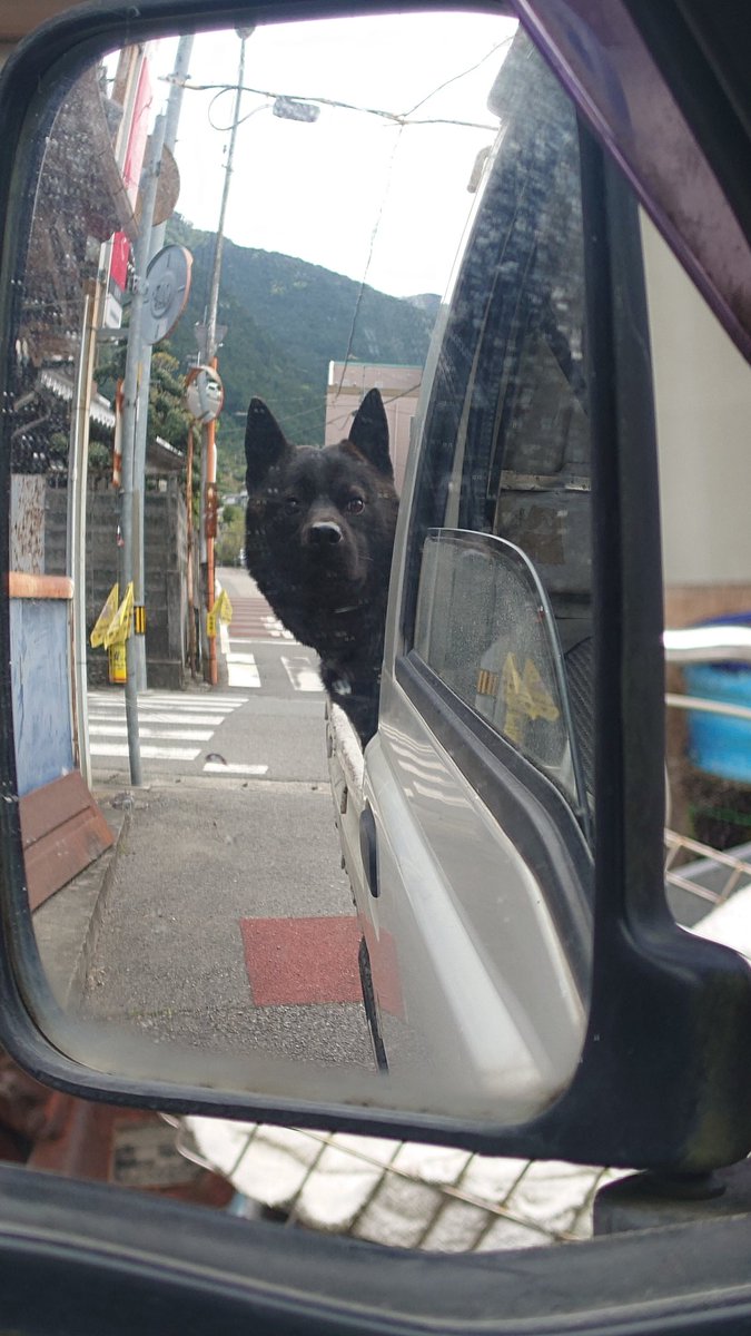 予防接種なう