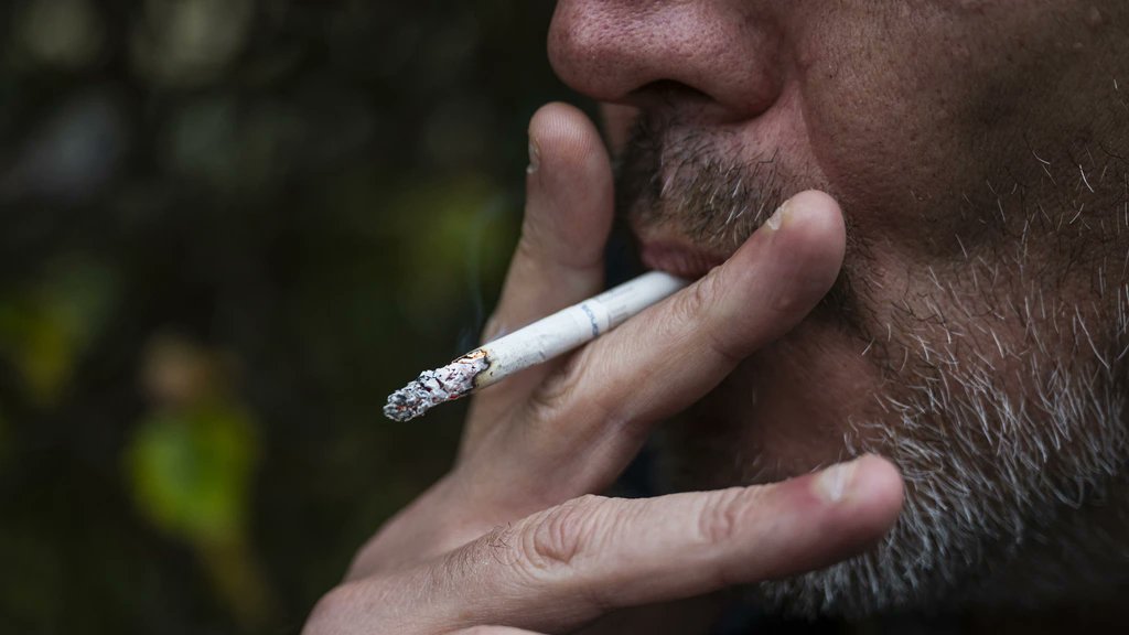 NieuwsStudioNL tweet media