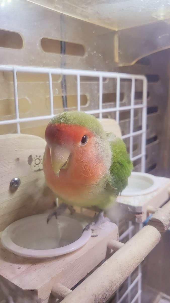 ゼロナナ tweet media