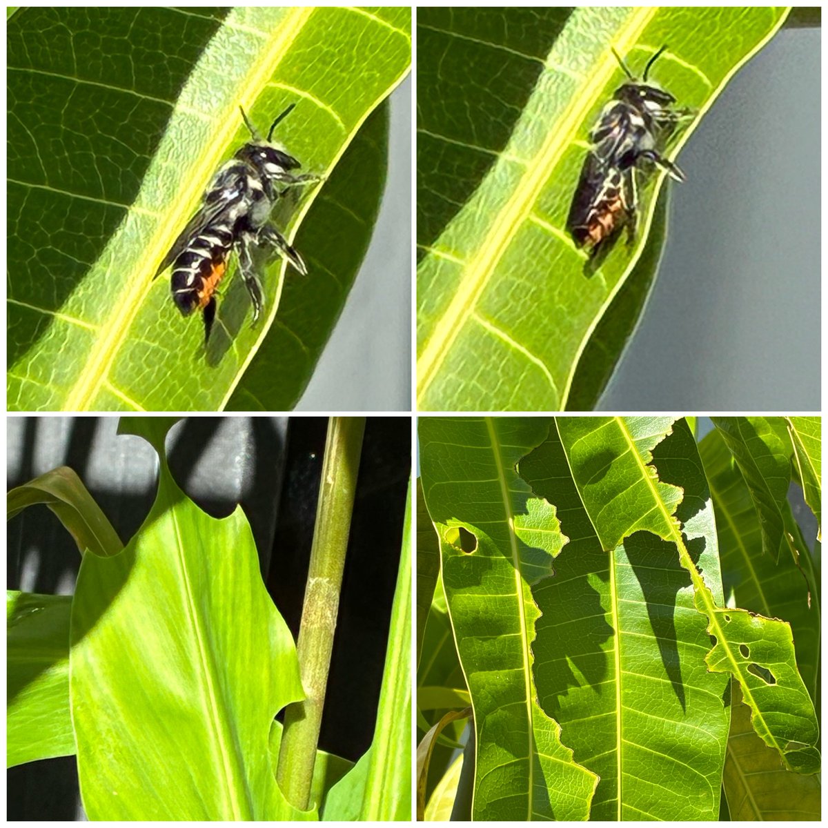 𝐇𝐏88 tweet media