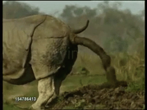 Never give up tweet media