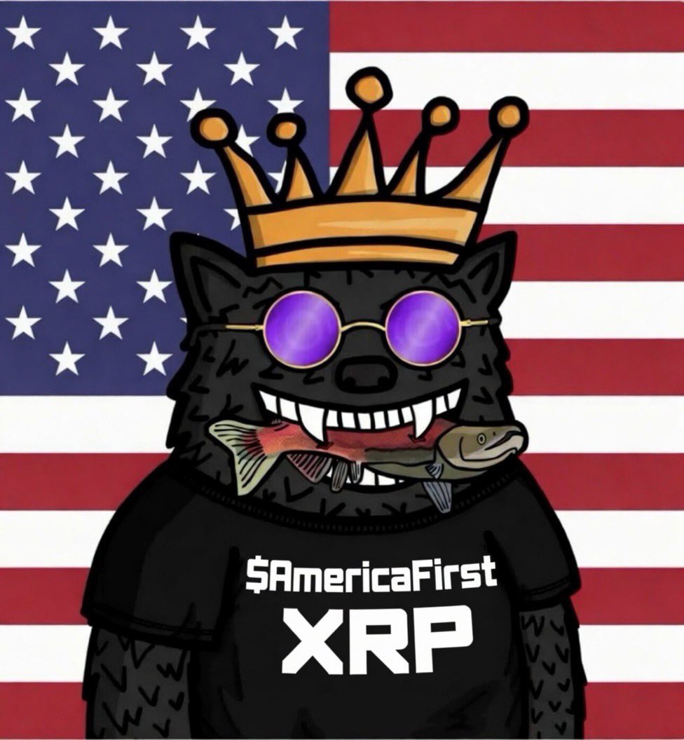 Pollux {x} 🐻🪝☀️🇺🇸 tweet media