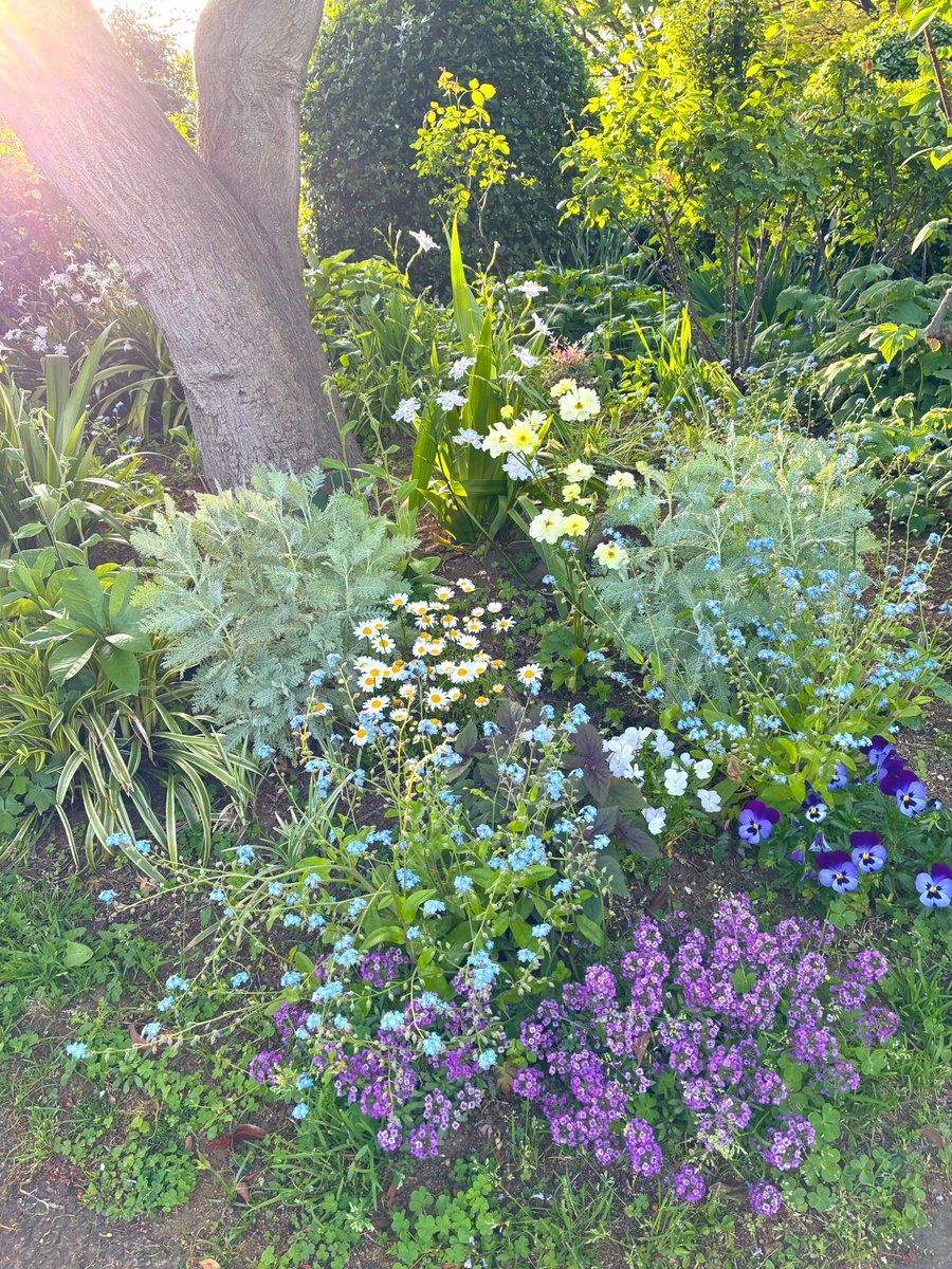 フランスガム tweet media