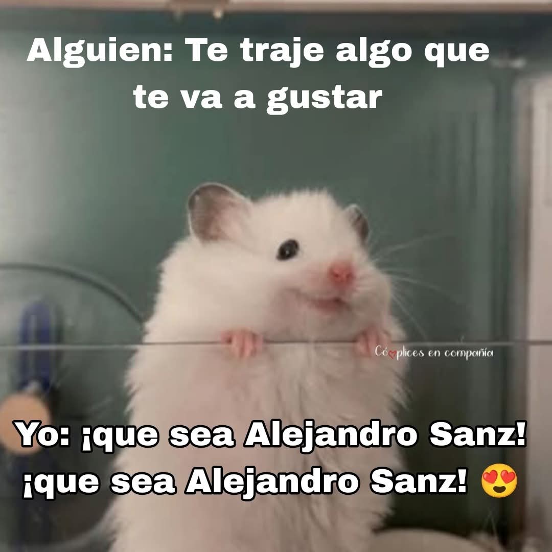 Club Oficial Cómplices en Compañía tweet media