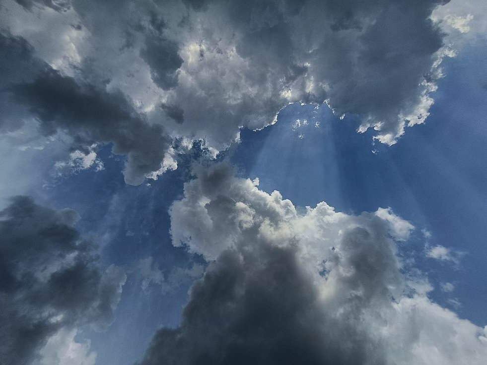 Lena Left пишет Другую любовь tweet media