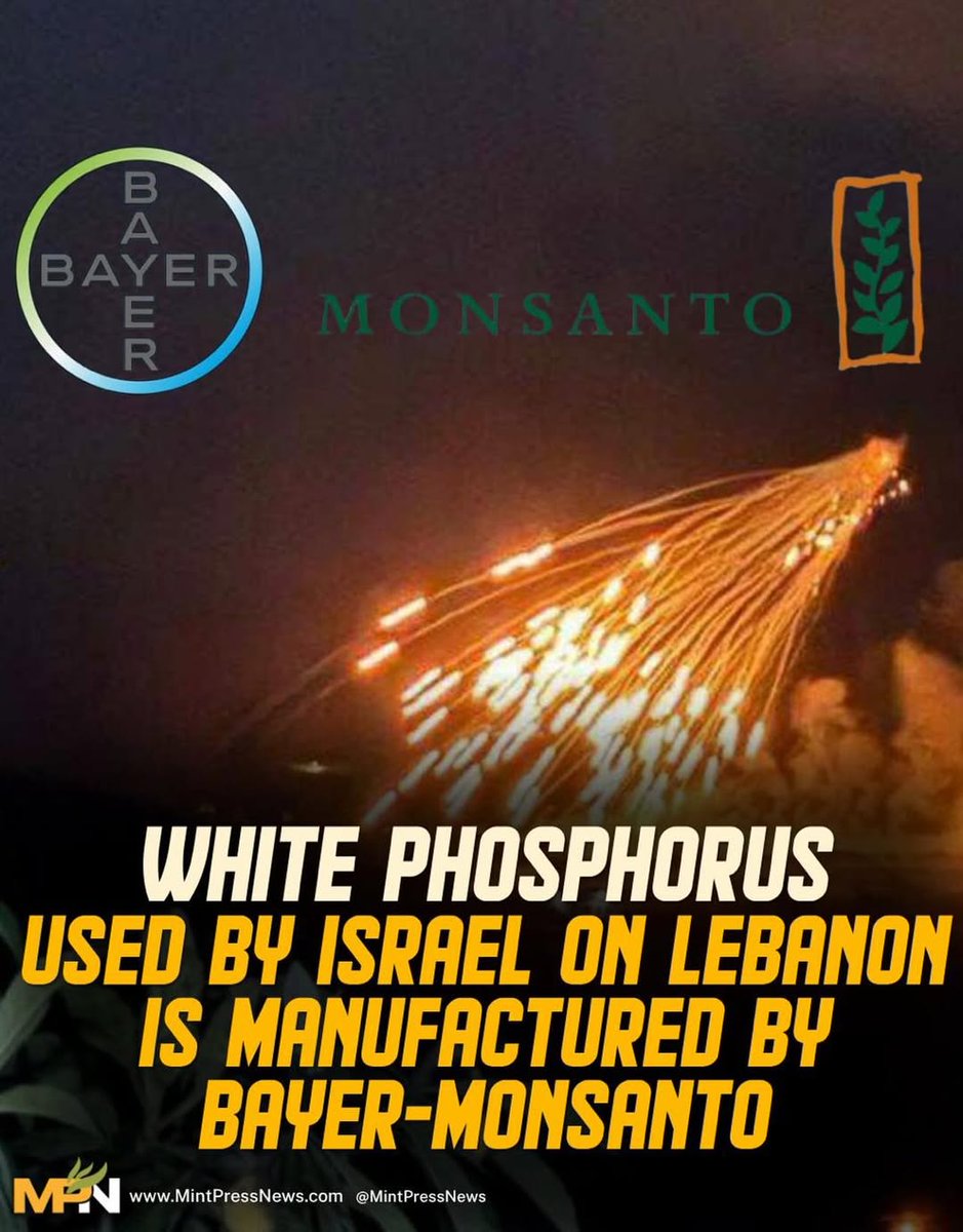 ferizandra tweet media