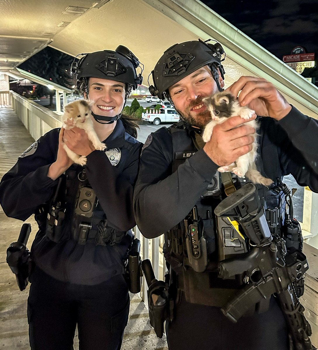 VancouverPDUSA's tweet image. Automatic way to make patrol better at 1 a.m. = meeting some kittens! 🐈🚔

#vanpoliceusa #police #vancouver