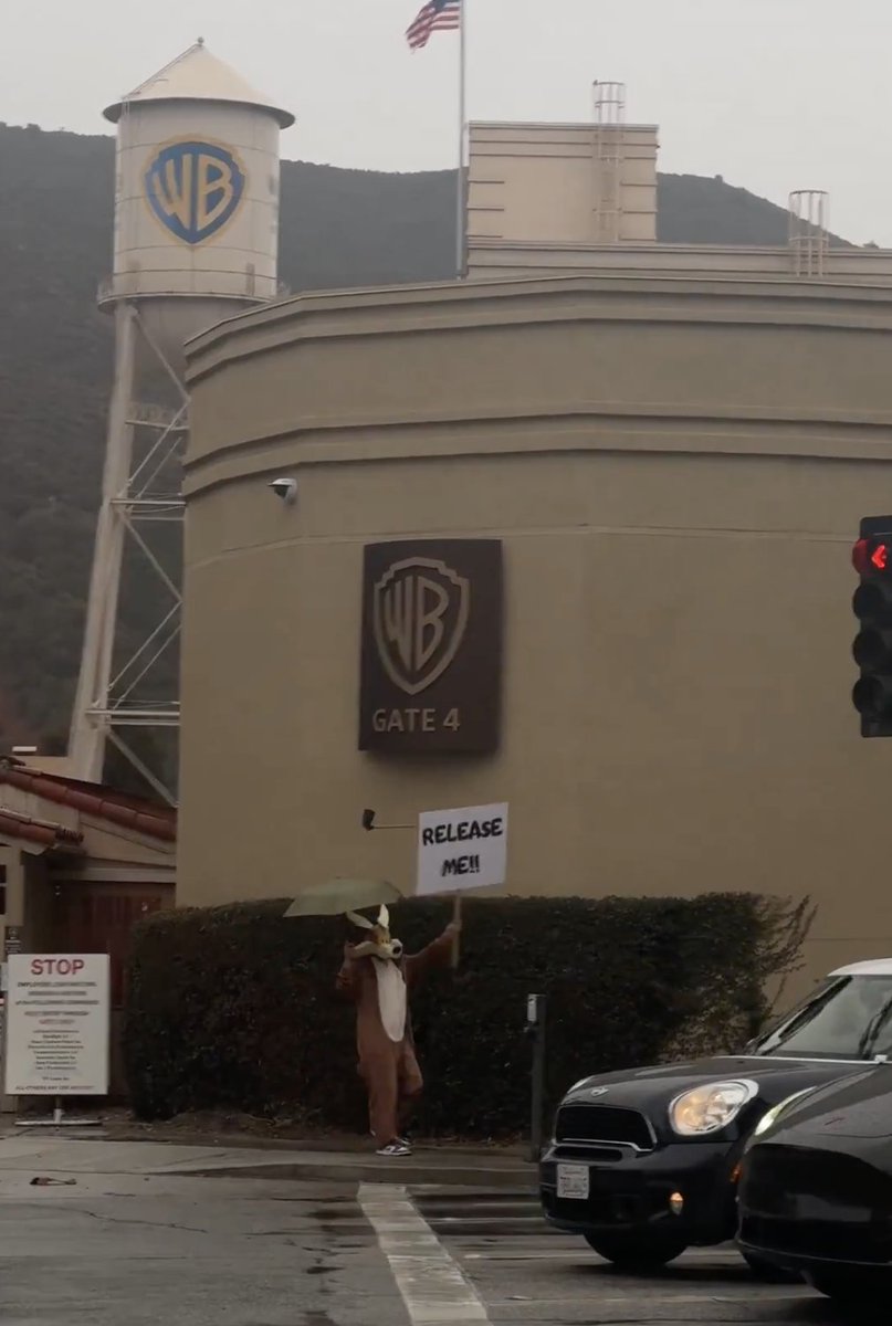 normie 𓆏🦔 tweet media