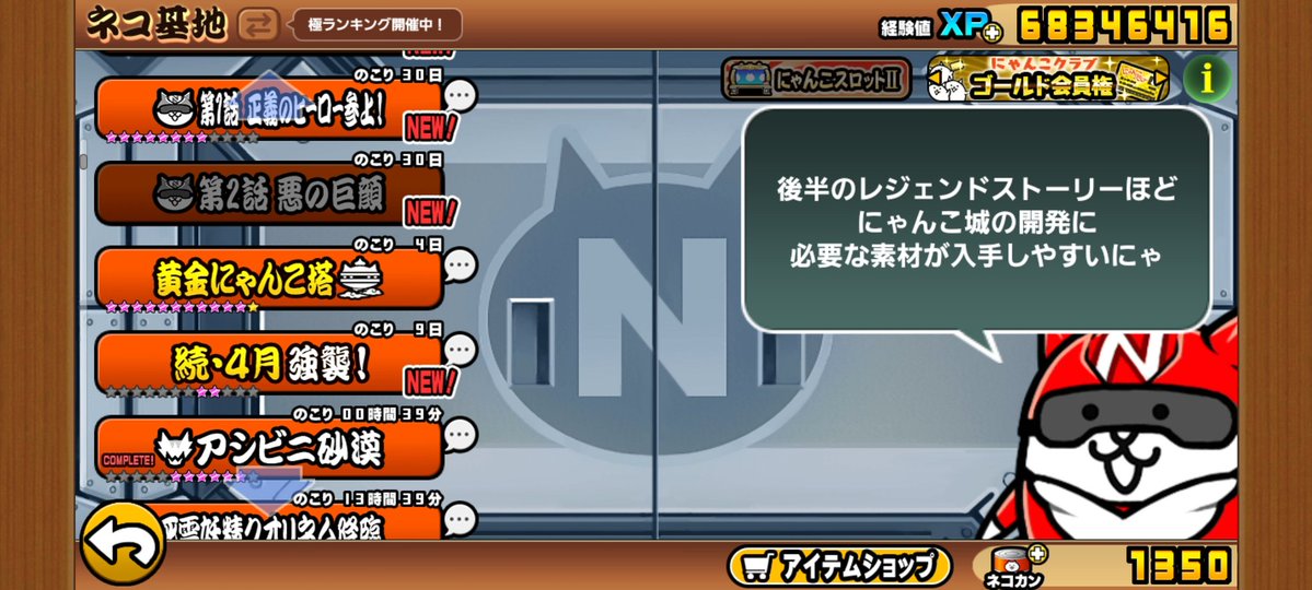 疲弊したクマ tweet media