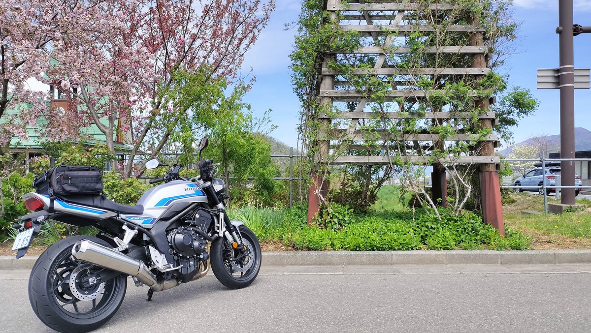 samaspeed tweet media