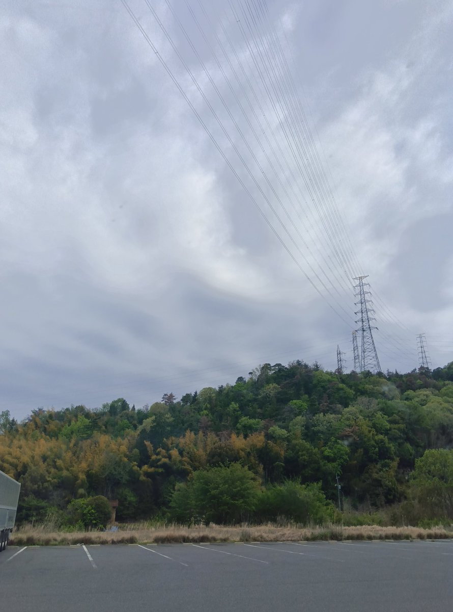 ヒロシ&匿名キーボー🎹 tweet media