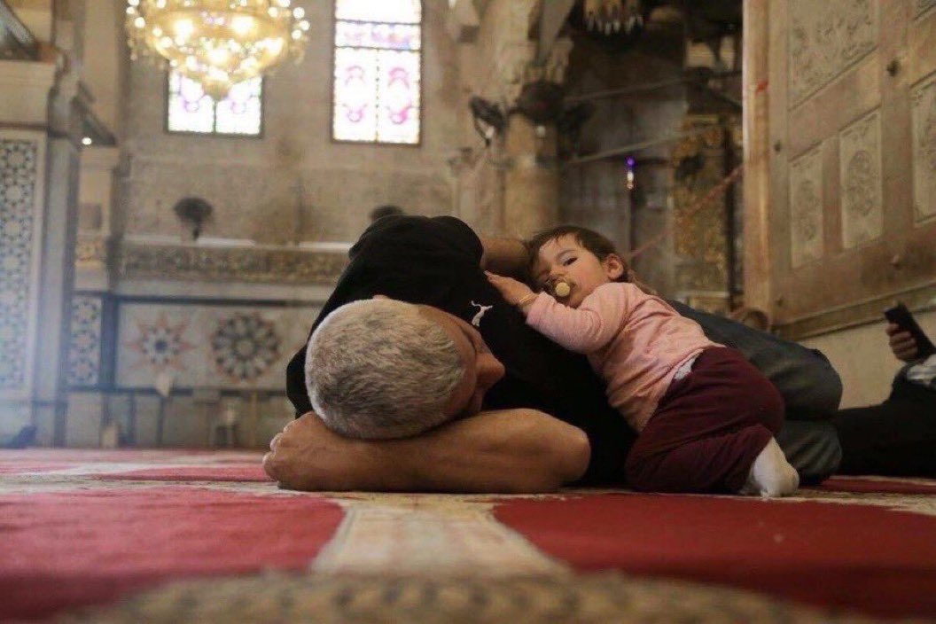 mr_abdualaziz1's tweet photo. نامت في أمان الأب ..
ونام الأب في أمان الله ❤️ https://t.co/8UldXSaniD