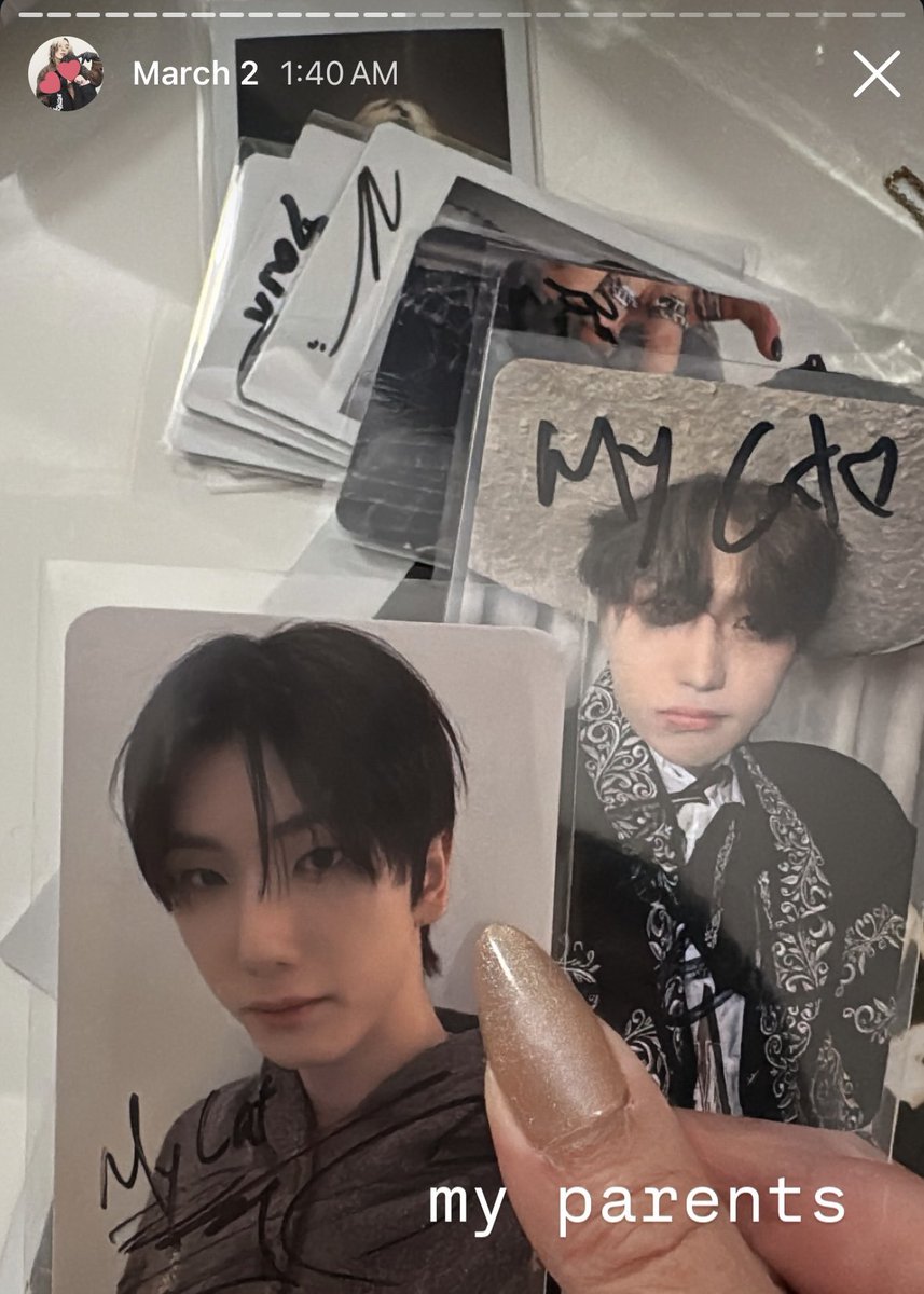 junhuis_kitten's tweet photo. family portrait 🐱 https://t.co/lMMfL7u7oP