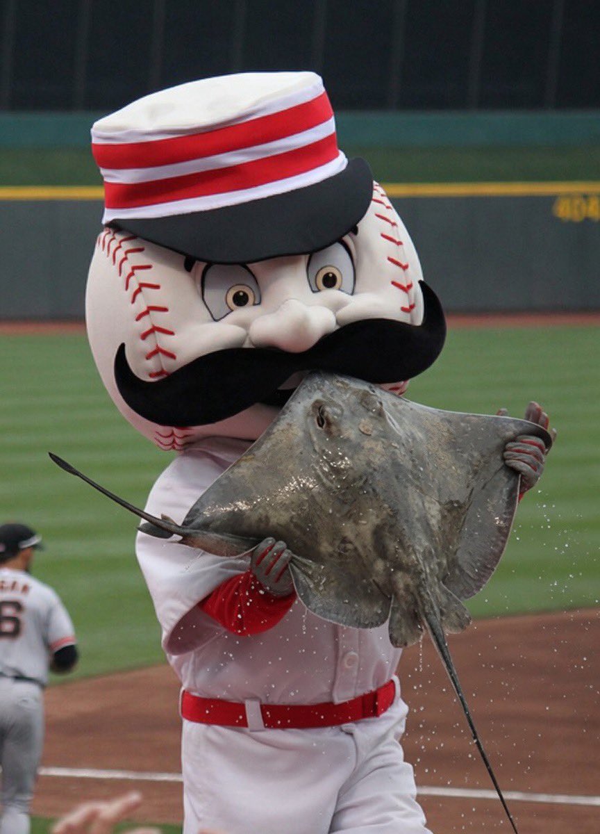 Toss Boss tweet media