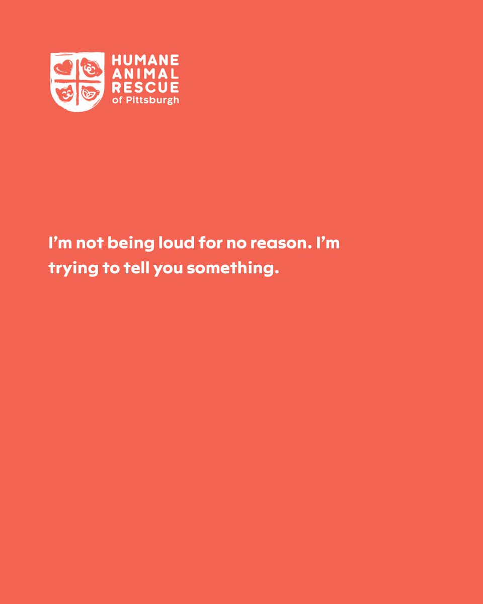 HARPSavesLives's tweet image. One thing your dog wishes you knew…
They are not barking for no reason. They are trying to communicate.
Training helps you understand and respond. 
~7 weeks, $160/series
View our class schedule:  bit.ly/3Y1dMWR

#harpsaveslives #dogtraining