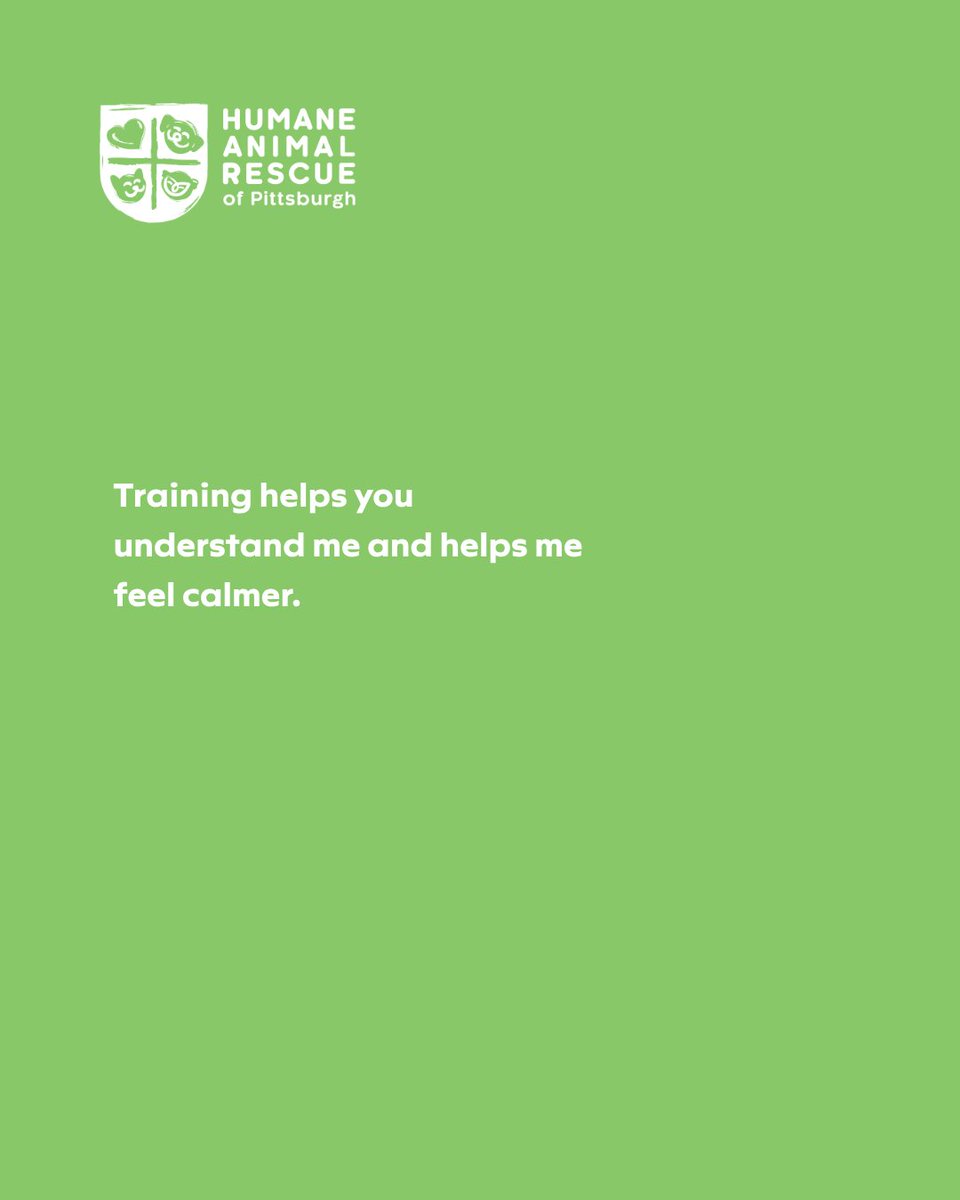 HARPSavesLives's tweet image. One thing your dog wishes you knew…
They are not barking for no reason. They are trying to communicate.
Training helps you understand and respond. 
~7 weeks, $160/series
View our class schedule:  bit.ly/3Y1dMWR

#harpsaveslives #dogtraining