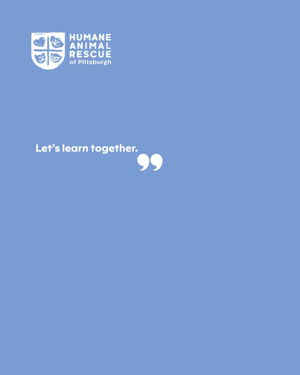 HARPSavesLives's tweet image. One thing your dog wishes you knew…
They are not barking for no reason. They are trying to communicate.
Training helps you understand and respond. 
~7 weeks, $160/series
View our class schedule:  bit.ly/3Y1dMWR

#harpsaveslives #dogtraining
