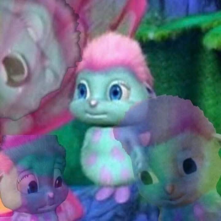 🌺Maru🌺 tweet media